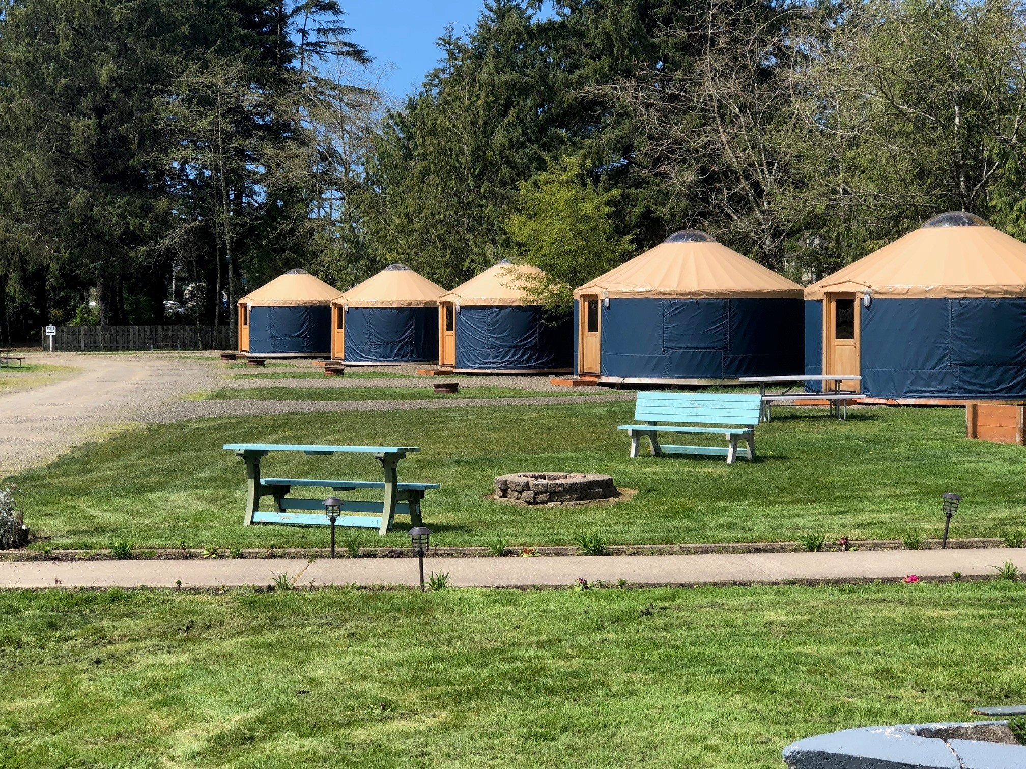 51095820_10156623231919667_4254939605255585792_n