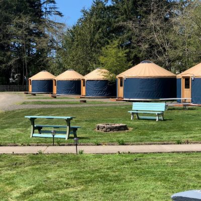 51095820_10156623231919667_4254939605255585792_n